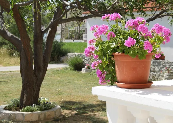 By The Sea Vlasici, Pag - 6523